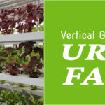 VGF-for-Urban-Farmers_2