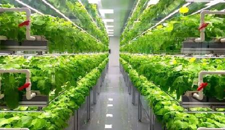 Indoor Farming