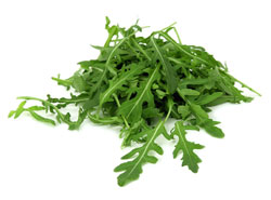 Arugula