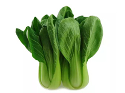 Bok Choy