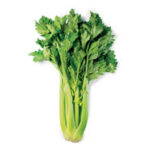 Celery