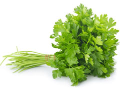 Coriander