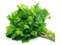 Parsley