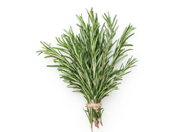 Rosemary