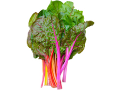 Swiss chard