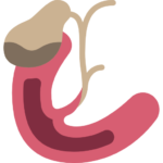 healthBenefit-gallbladder