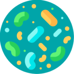 healthBenefit-immuneSupport